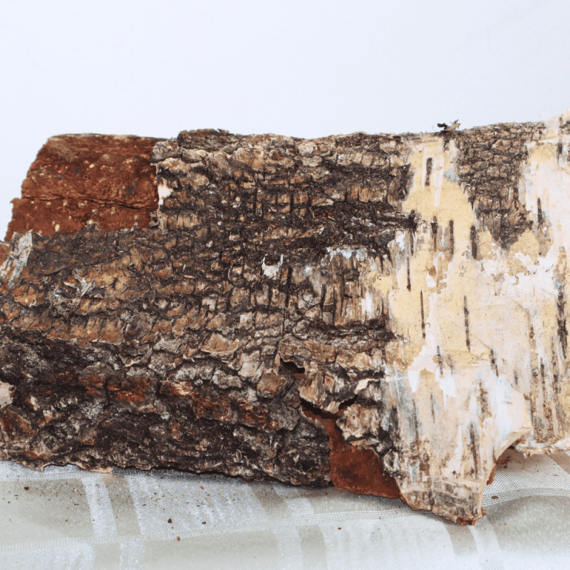 10 netzakken Berkenhout haardhout brandhout | Gardline