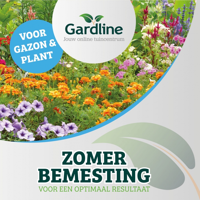 Gardline Planten & Gazon | Zomer | 500 m²