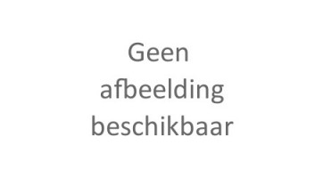 Koningslinde Leiboom
